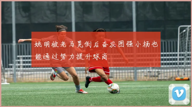 姚明被老马晃倒后奋发图强小杨也能通过努力提升球商