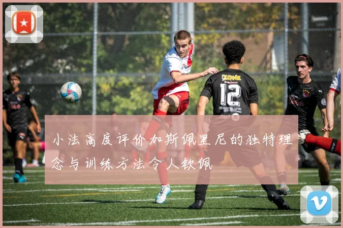 小法高度评价加斯佩里尼的独特理念与训练方法令人钦佩