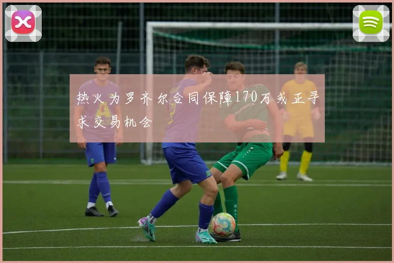 热火为罗齐尔合同保障170万或正寻求交易机会