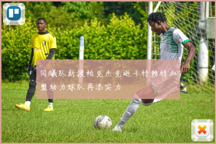 同曦队新援帕克杰克逊卡特赖特加盟助力球队再添实力